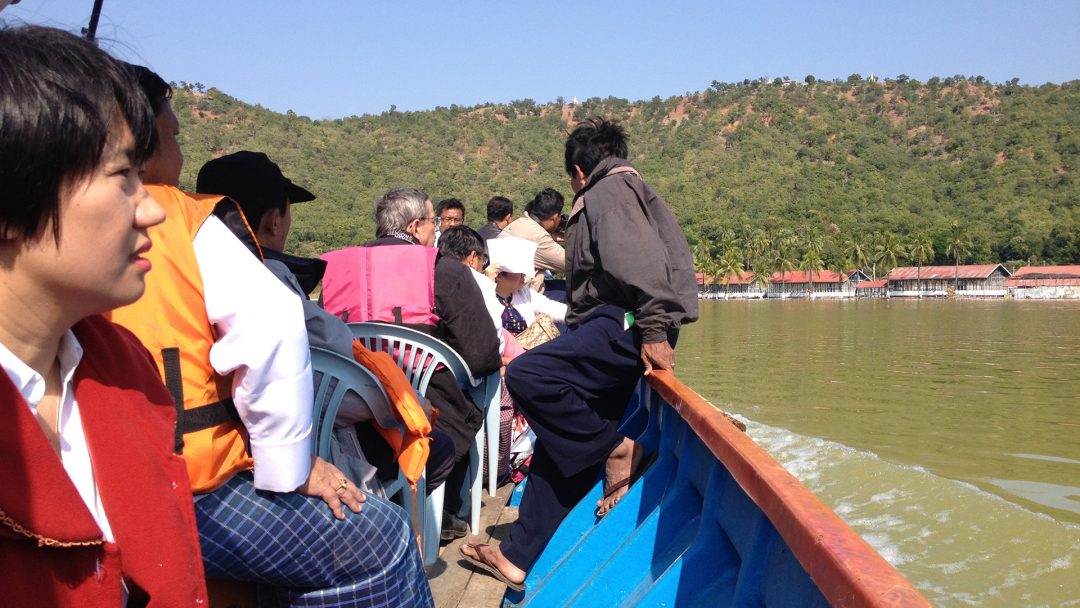 Myanmar Spirulina Spirulina Source