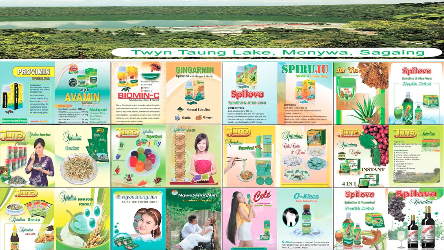 Myanmar Spirulina Spirulina Source